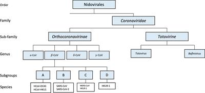 Insights Into the Changing Landscape of Coronavirus Disease 2019